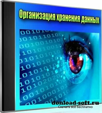 Организация хранения данных (2012) DVDRip